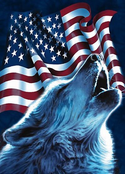 Loup et drapeau US